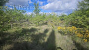 Terrain à GALARGUES