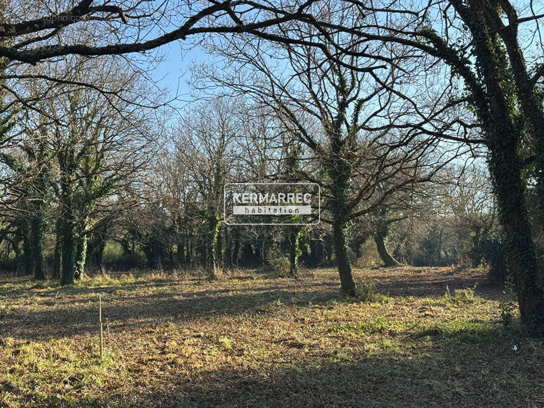 Terrain à LA TURBALLE