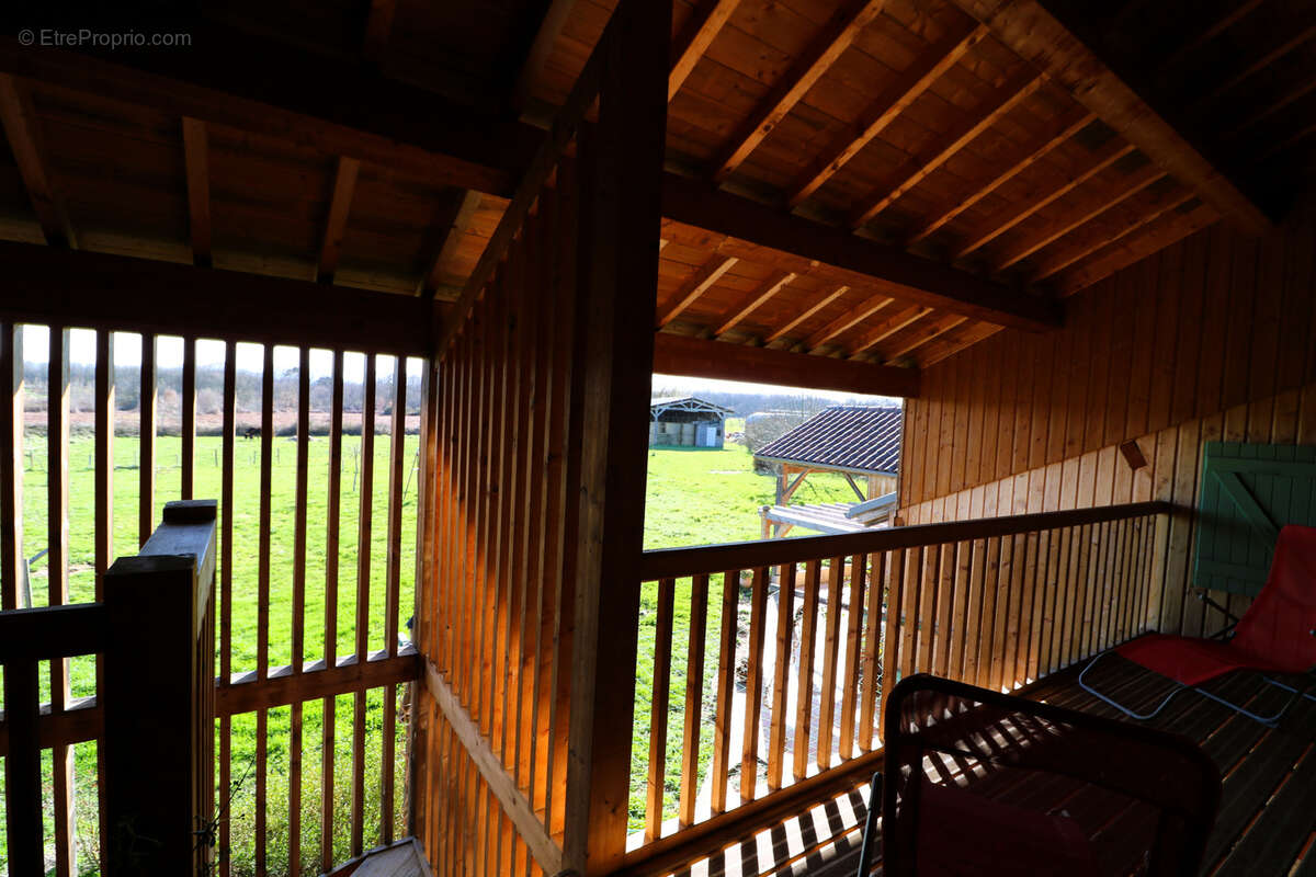 Propriété de 2.5ha avec Maison rénovée, dépendances, Vue Pyrénées - photo 61