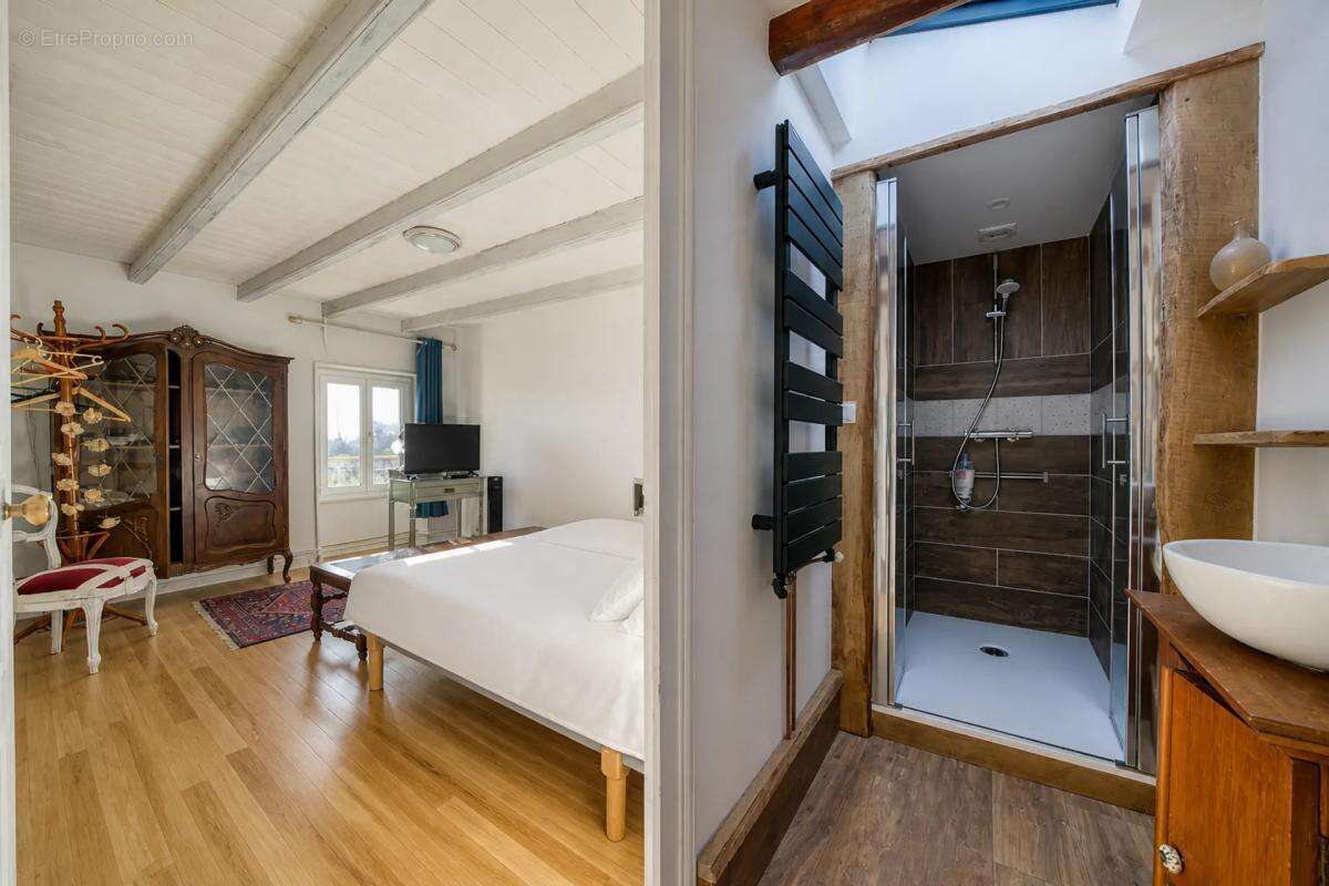 Demeure Authentique avec Ponton Privé à Damvix - photo 7