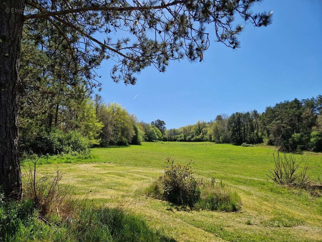 20260409151206 - Maison à SAVIGNAC-DE-MIREMONT