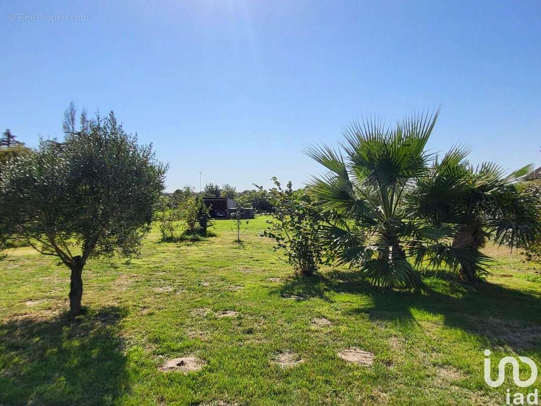 Photo 2 - Maison à LE VERDON-SUR-MER