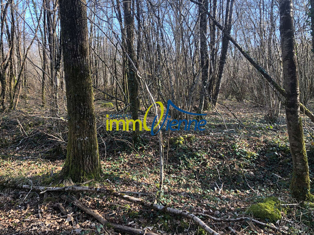 Terrain à USSON-DU-POITOU