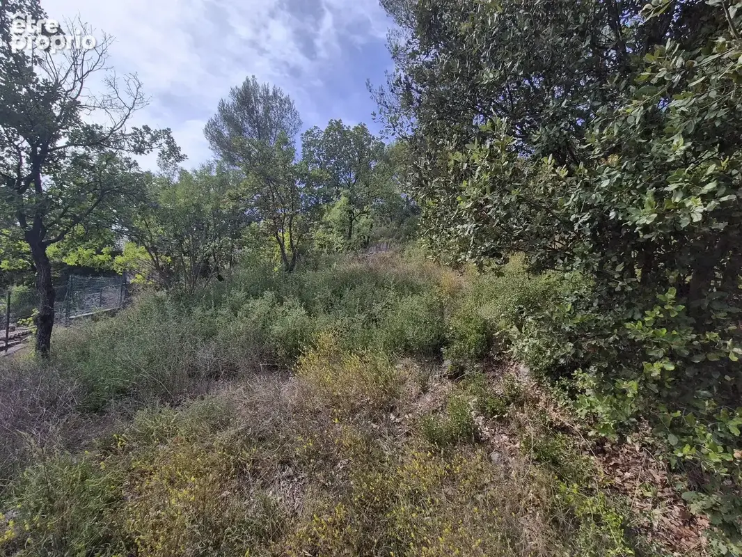 Vente Terrain Le luc(83340) 30 000ï¿œ - photo 5