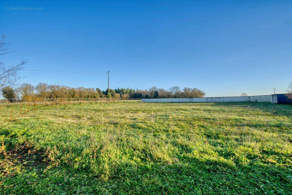 Maison à SAINT-SAVINIEN