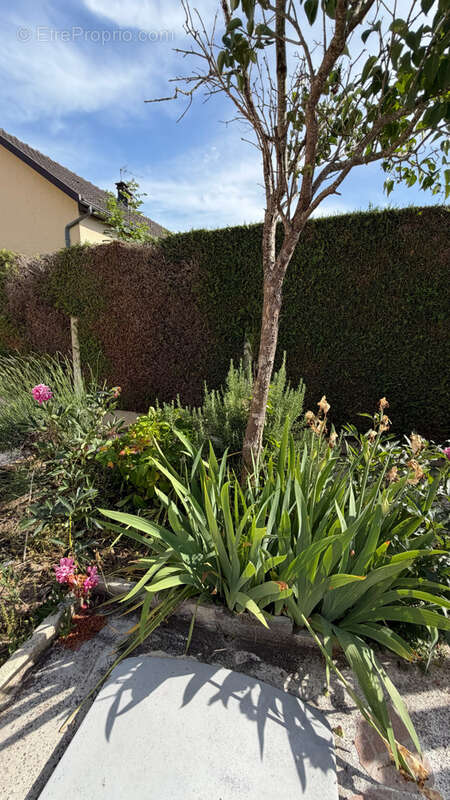 Maison de 89 m2 avec sous-sol complet et jardin arboré - photo 5