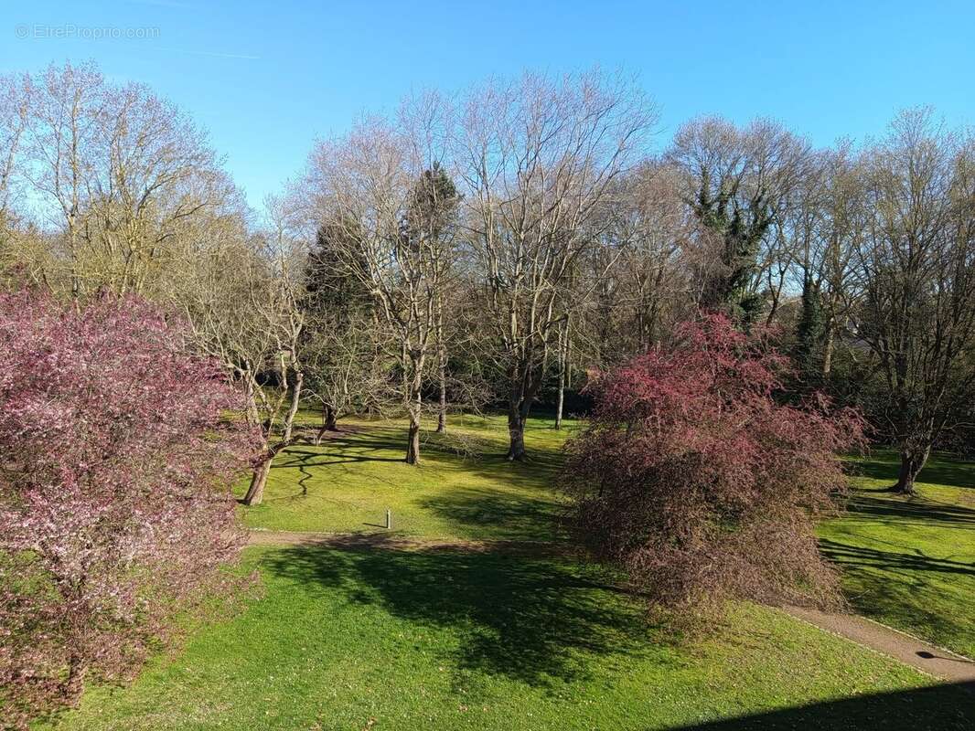 Appartement à LAMBERSART