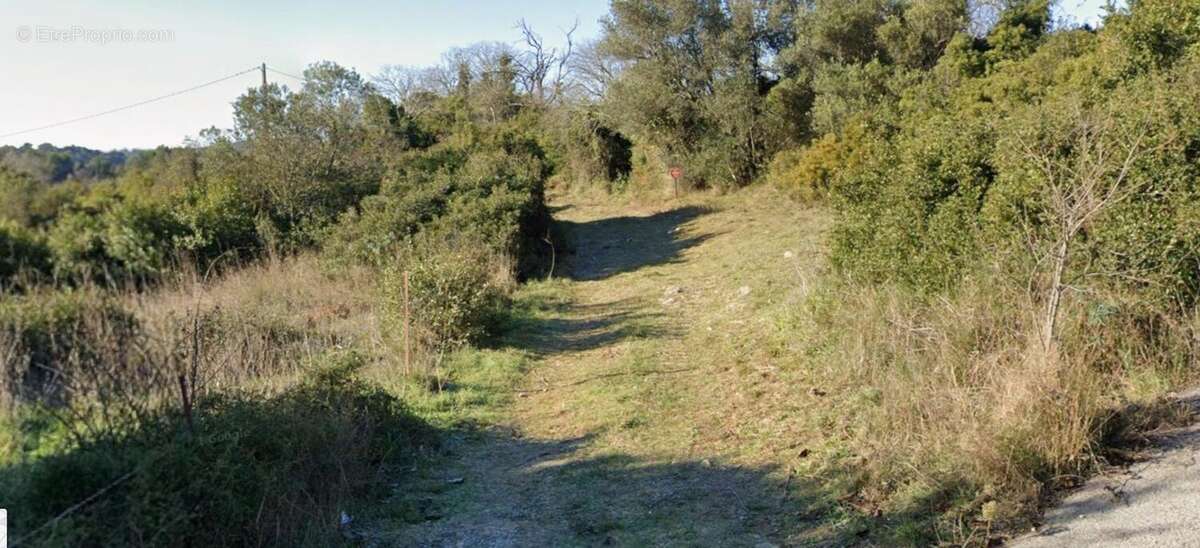 Photo 4 - Terrain à SAINT-GEORGES-D'ORQUES