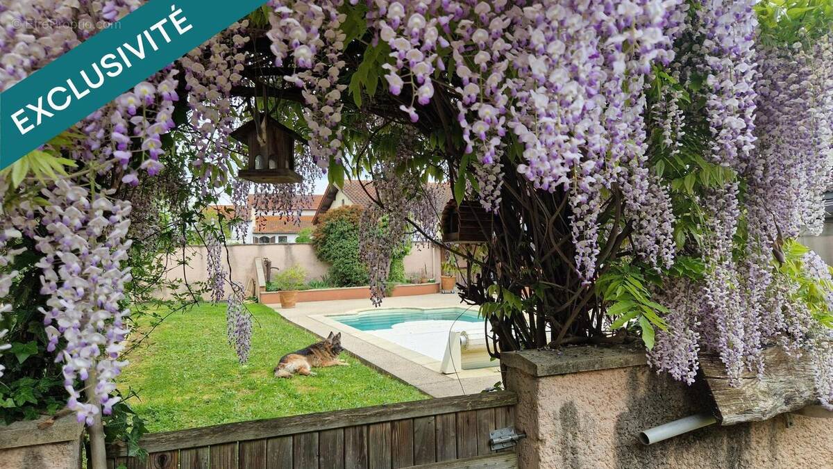 Photo 1 - Maison à GENAS