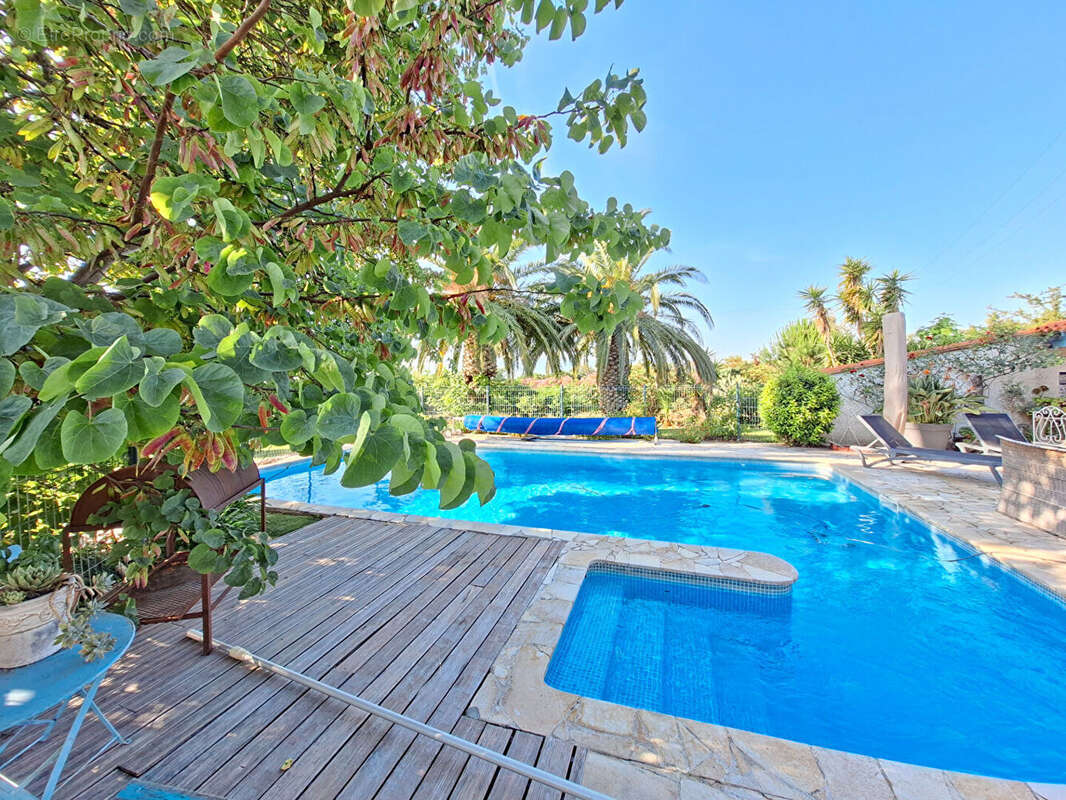 Perpignan SUD Villa 4 faces de Type 5 sur 4000m2 de terrain - photo 4