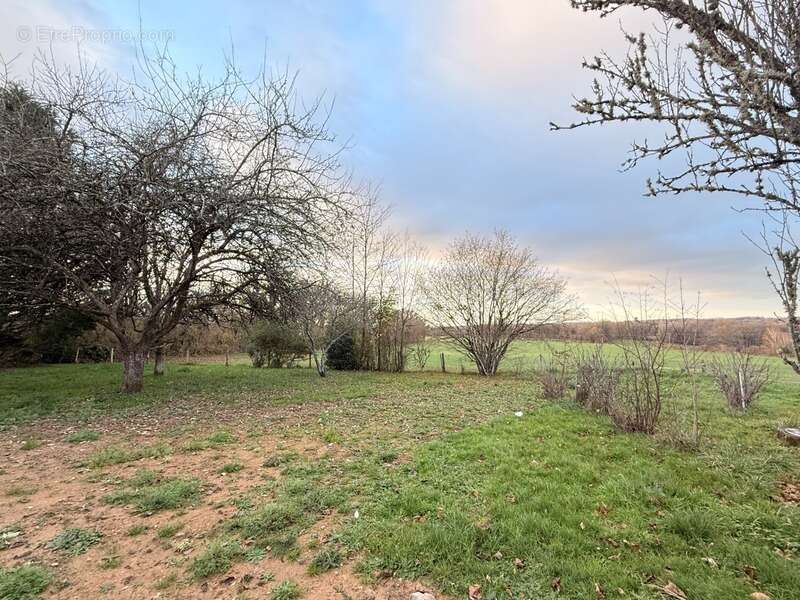 Maison à FRESSELINES