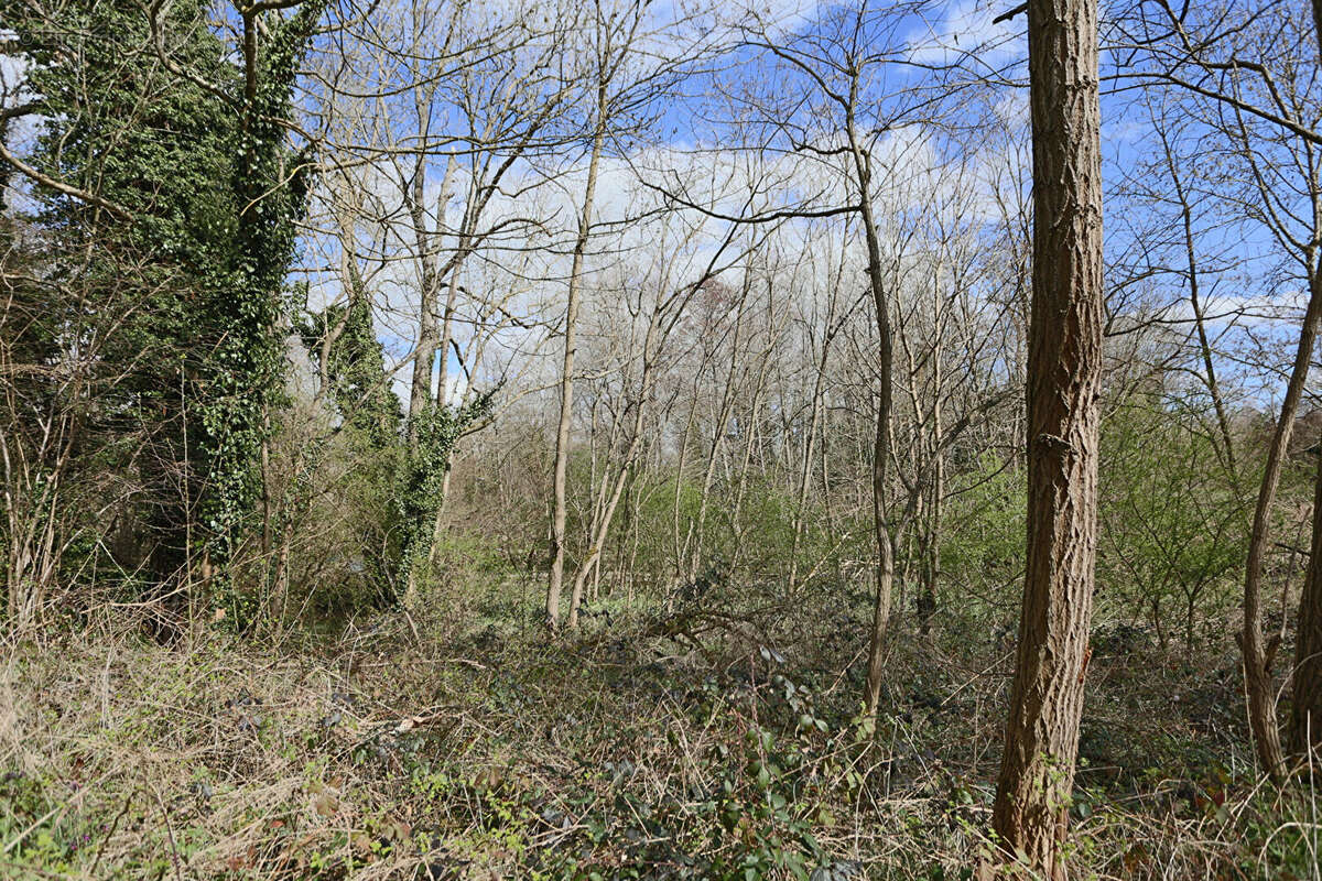 Terrain à SAINT-GERMAIN-DE-SALLES