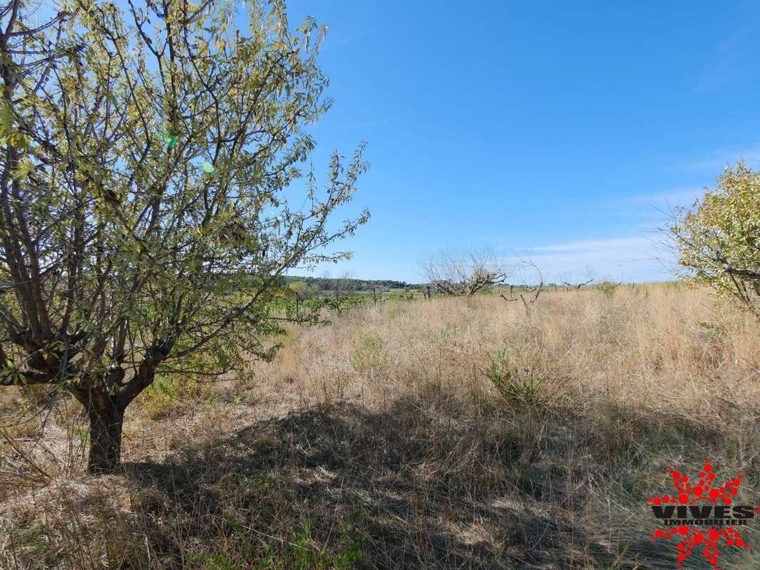 Terrain agricole de 5075 m² - photo 6