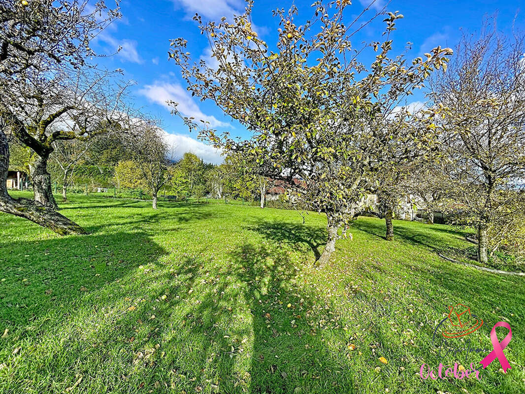 Terrain à COLLONGES