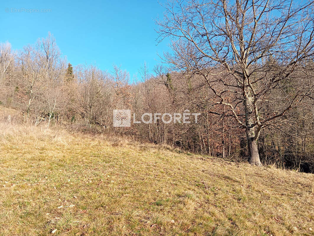 Terrain à PRATS-DE-MOLLO-LA-PRESTE