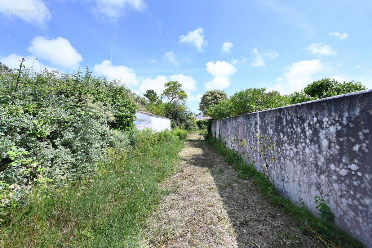 Terrain à LES PORTES-EN-RE