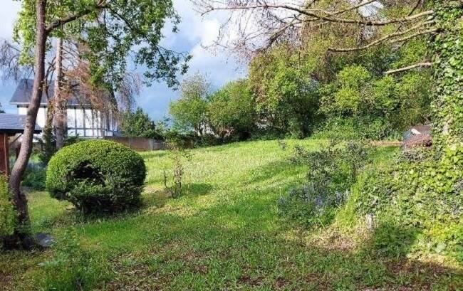 Terrain à THUMERIES