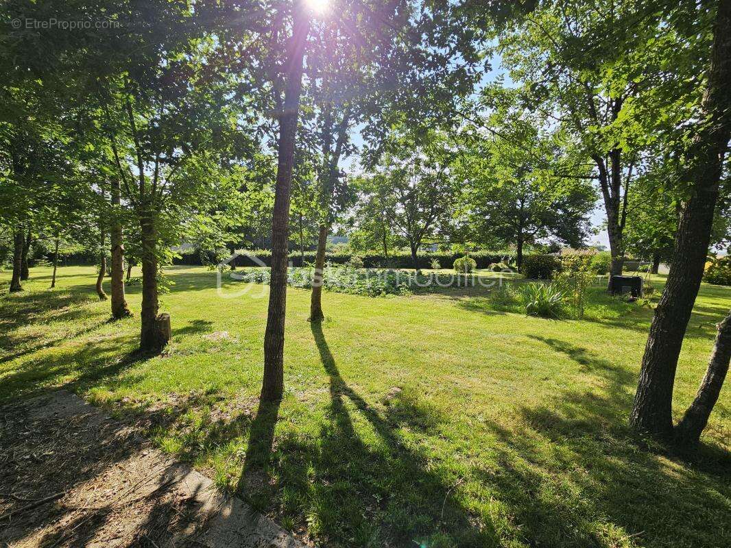 Maison à LE BUSSEAU