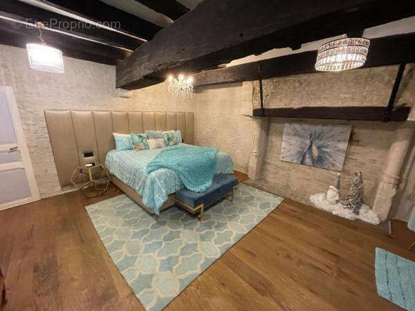 Gite 1&amp; master - Maison à CHENON