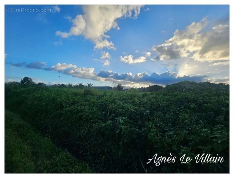 Terrain à SAINTE-ROSE