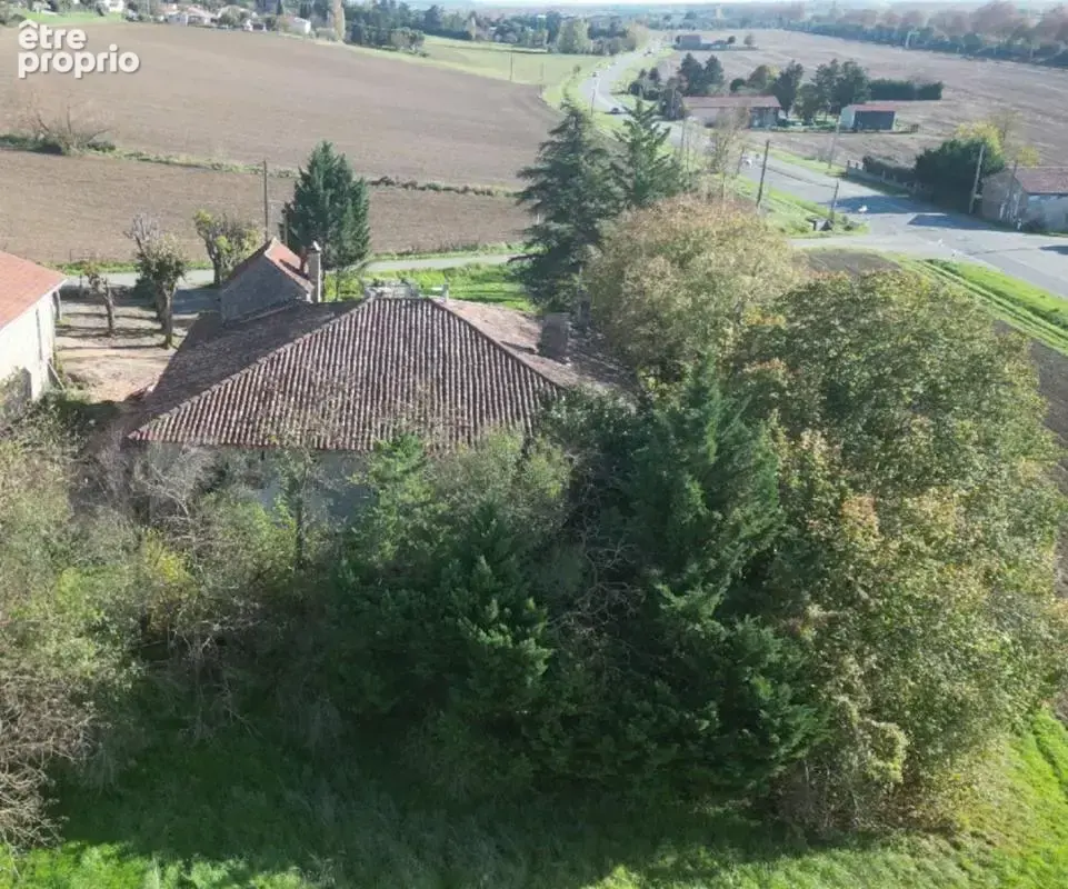 Maison 8 pièces 580 m² à vendre à Castelnau-D'estretefonds (31620) - photo 4