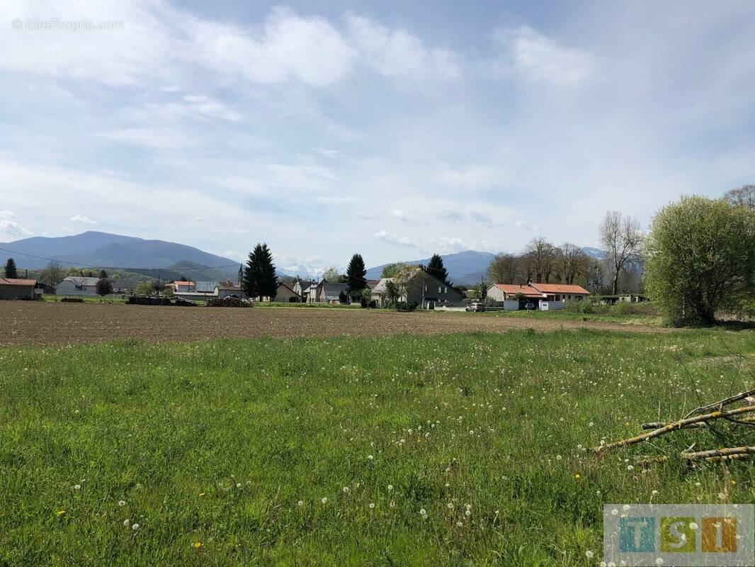 Terrain à LA BARTHE-DE-NESTE