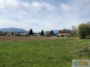 Terrain à LA BARTHE-DE-NESTE