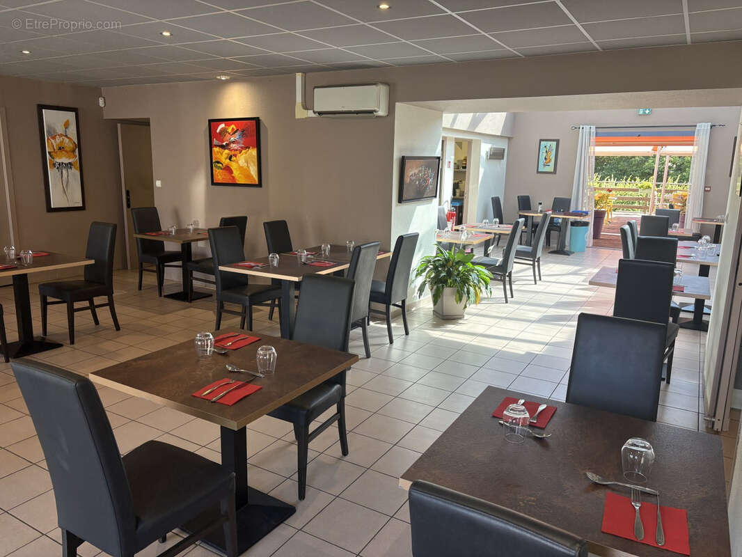 Region pompadour restaurant murs et fonds - photo 6