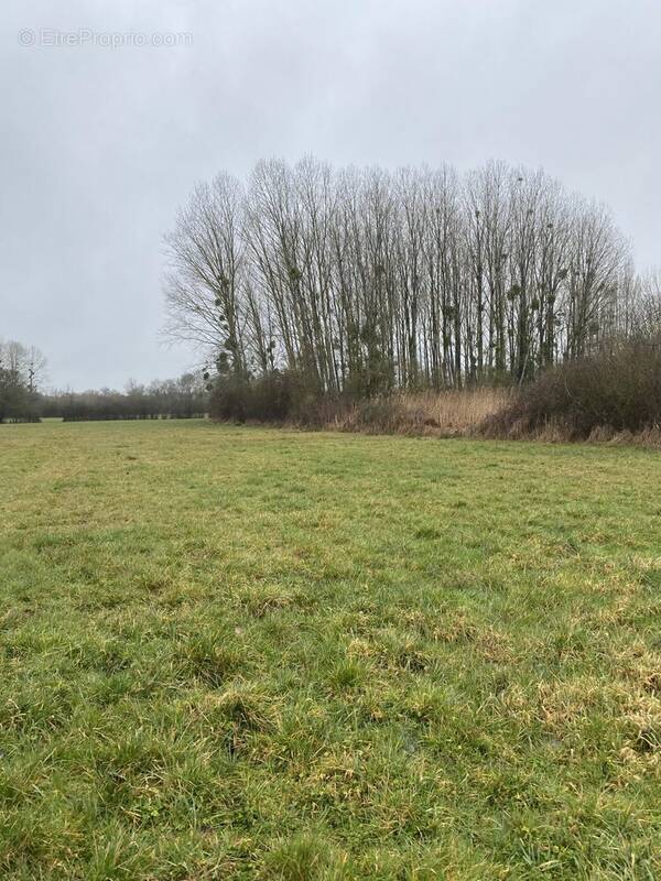 Terrain à CHATEAU-LA-VALLIERE