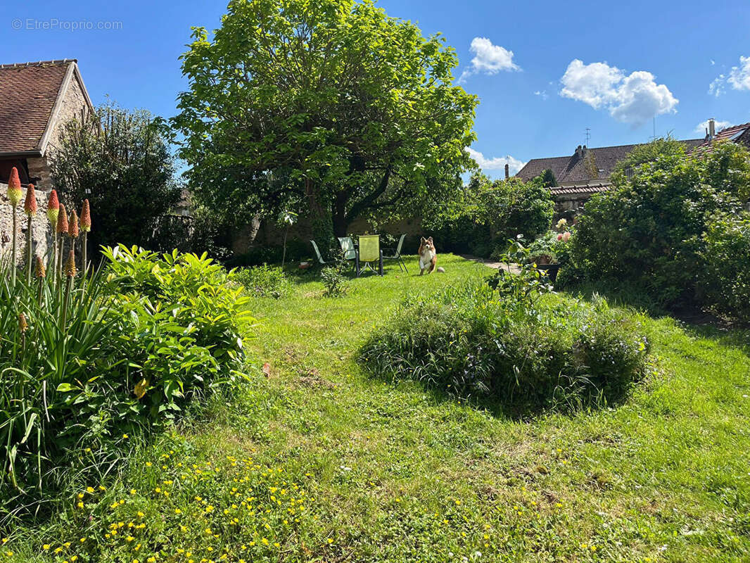 Maison à VILLENAUXE-LA-GRANDE
