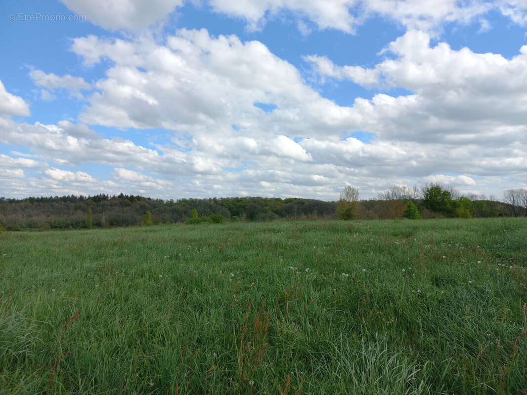 Terrain à MONTESQUIOU