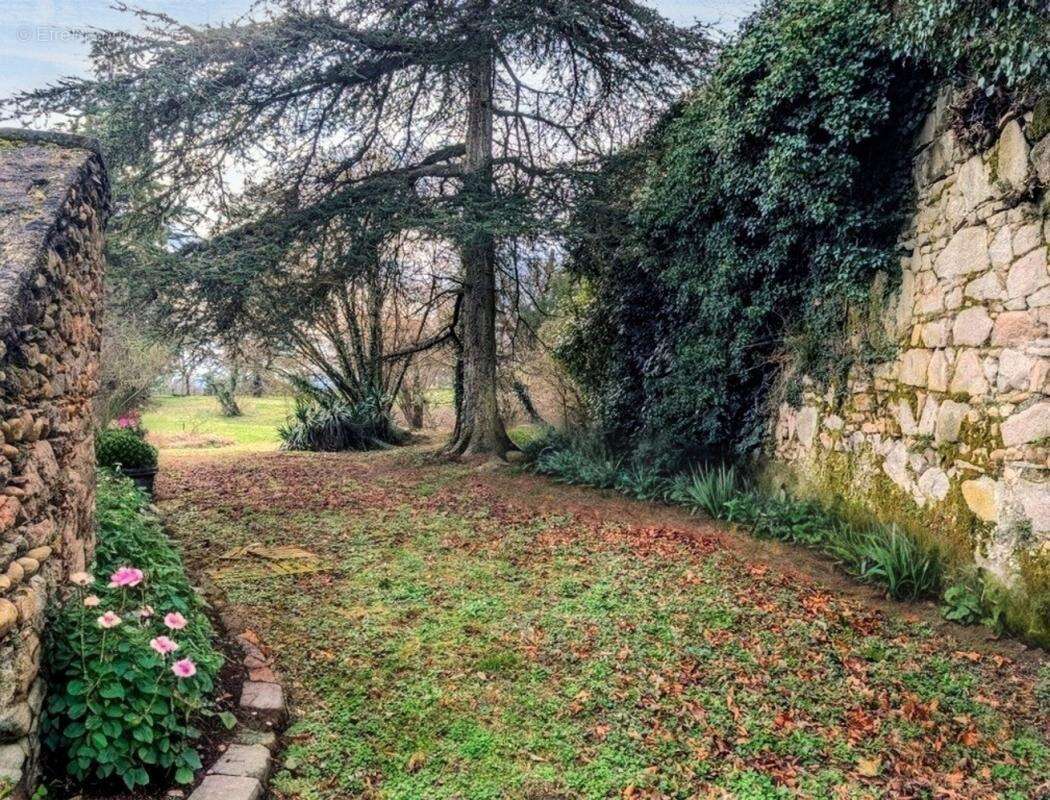 Appartement à IRIGNY