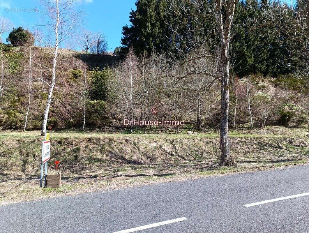 Terrain 2577 m² à Saint-Cirgues-En-Montagne  - photo 3