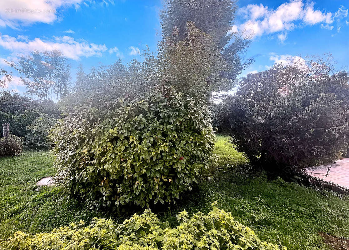 Maison à SAINT-JEAN-DE-LIVERSAY