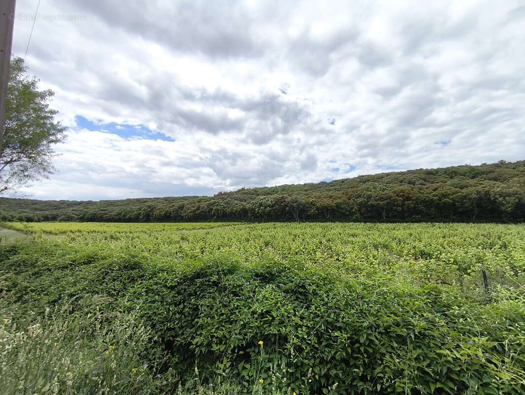 Maison à ROCHEFORT-DU-GARD