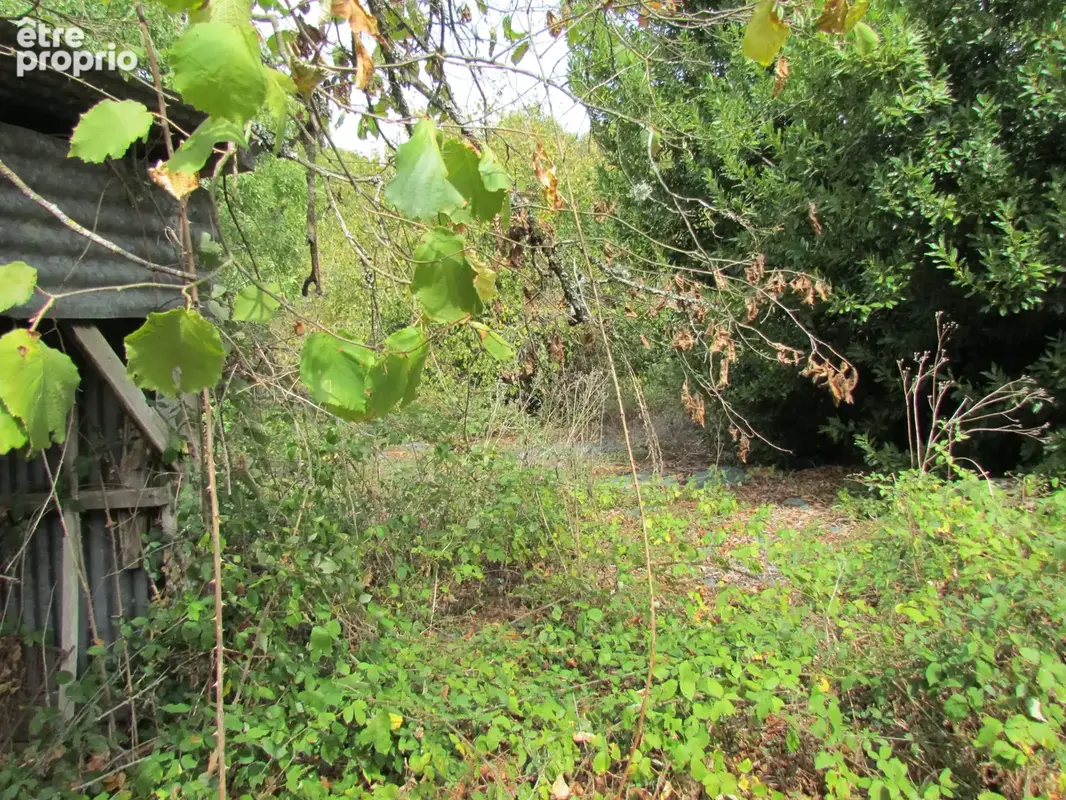 ALLOUE (10 km de Champagne Mouton) - photo 26
