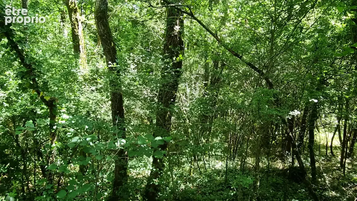20260528_151120
