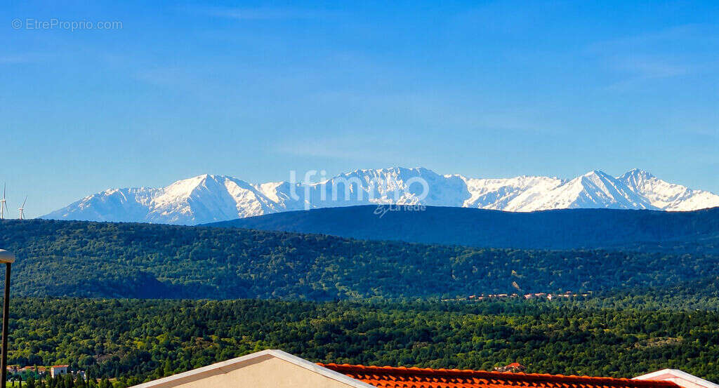 Villa prestige à La Palme – Vue mer, 240 m² et terrain 1 500 m² - photo 11