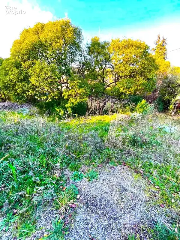 Terrain 1850 m² à Mougins  - photo 2