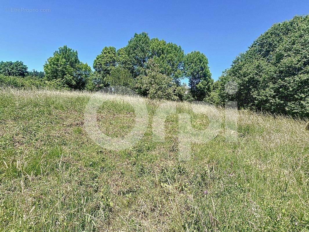 Terrain à BEYNAT