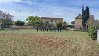 Terrain à SAINTE-MARIE