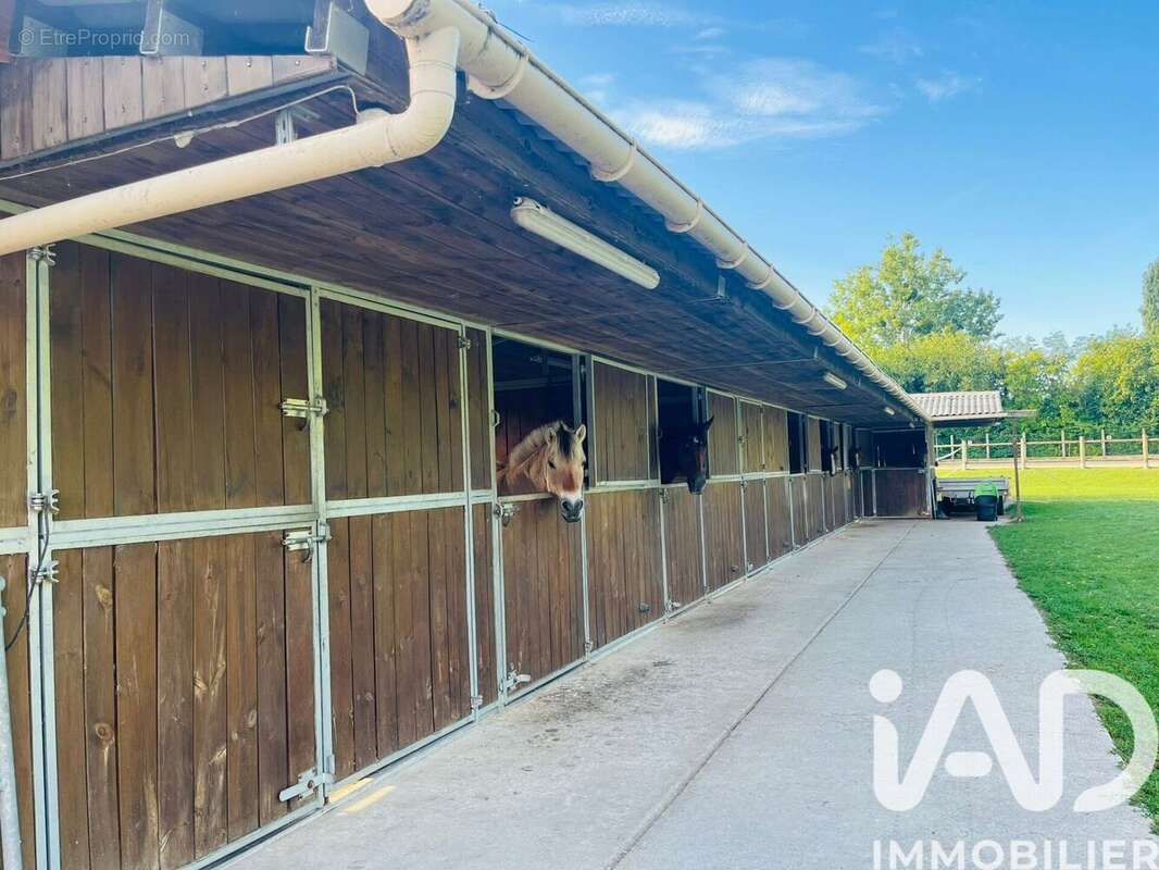 Photo 3 - Maison à VOULANGIS