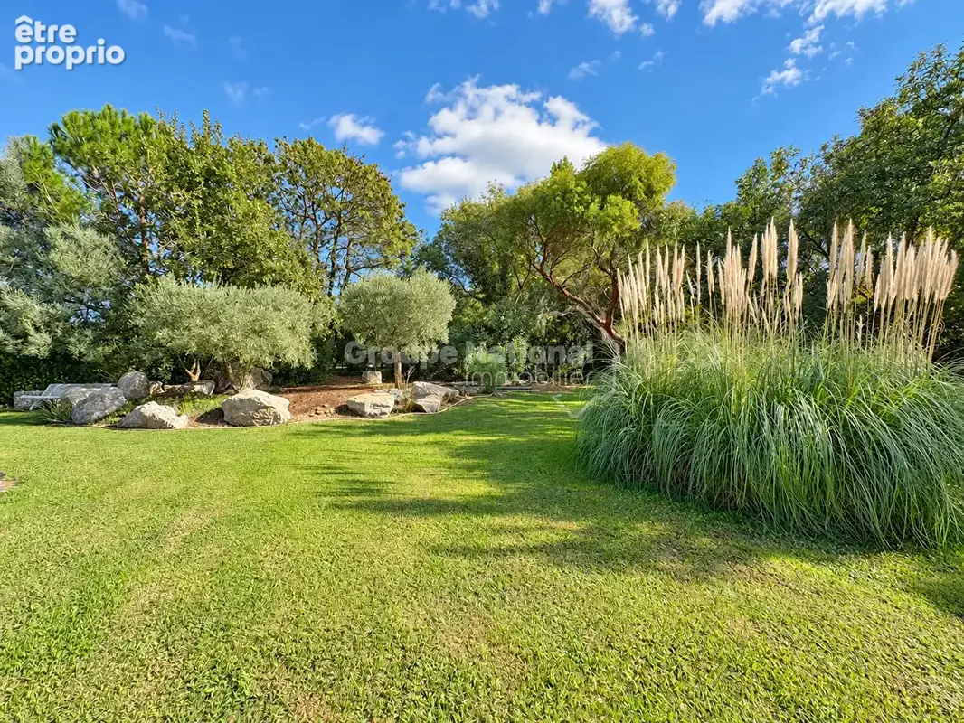 Salon-de-Provence (Bel-Air) : Propriété sur 5000 m² avec piscine - photo 23