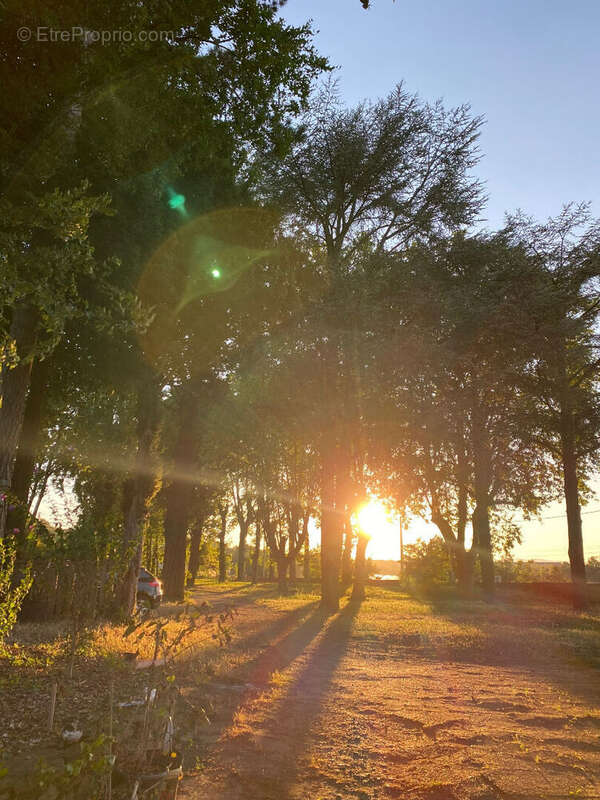Terrain à CURIS-AU-MONT-D'OR