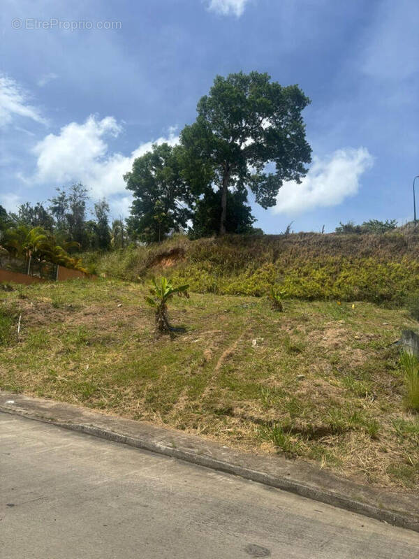 Terrain à DUCOS