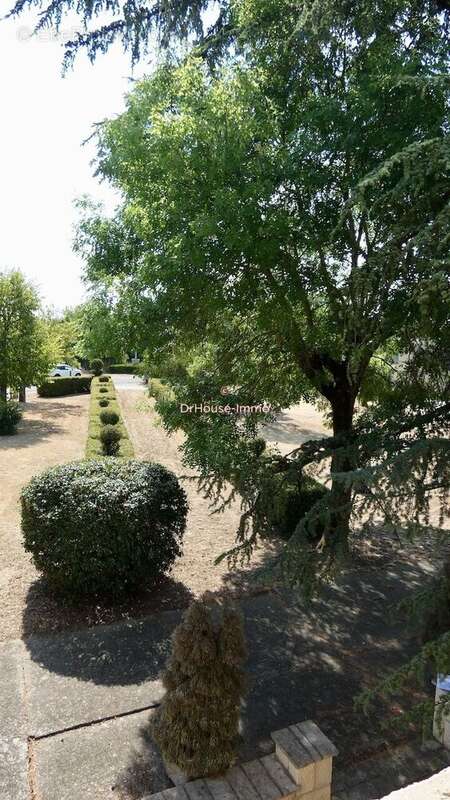 Maison 220 m² à Cahuzac-Sur-Vere  - photo 9