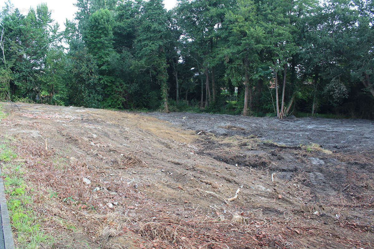 Terrain à SAUGNAC-ET-CAMBRAN