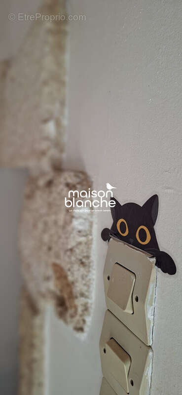 Maison à SAINT-FELIX