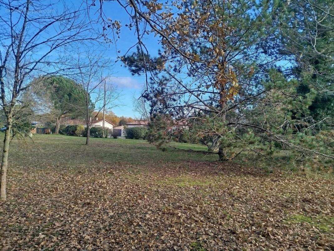 Terrain à SAINT-ETIENNE-DE-TULMONT