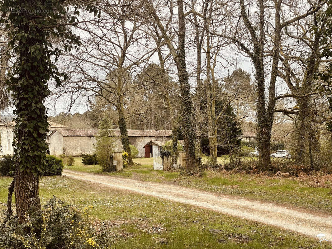 Maison 180 m² à Sauternes  - photo 2